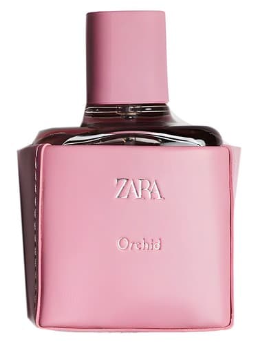 Zara Orchid 2021 - ارکیده زارا 2021