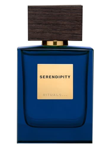 Serendipity For Him