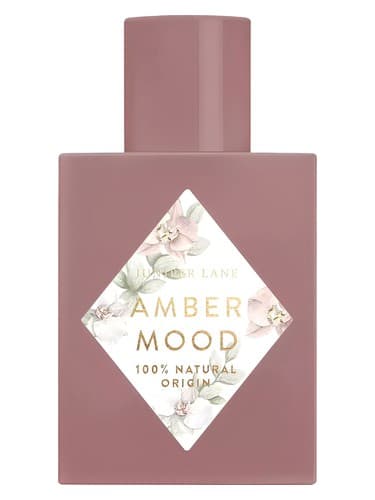Amber Mood - حال و هوای امبر