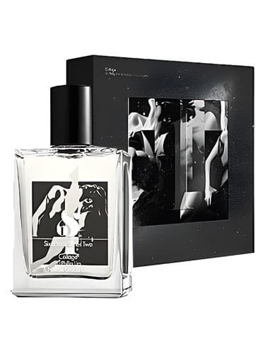Six Scents Series Two 1 3.1 Phillip Lim: Collage 