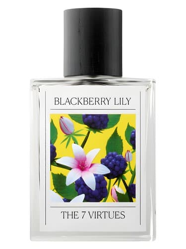 Blackberry Lily - بلک بری لیلی