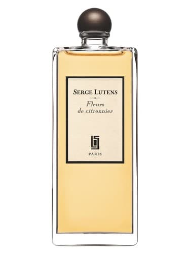 Fleurs de Citronnier - فلورس د سیترونیه