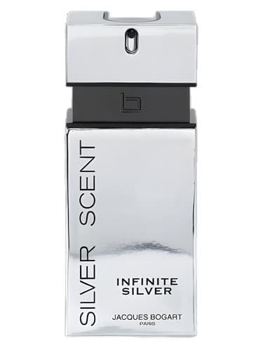 Silver Scent Infinite Silver - عطر نقره بی نهایت نقره