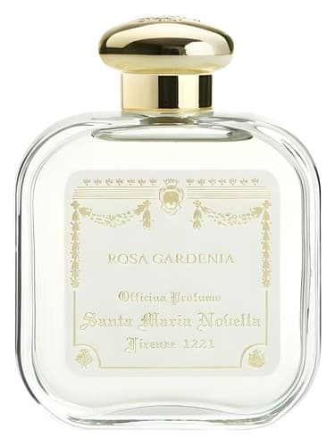 Rosa Gardenia - رزا گاردنیا