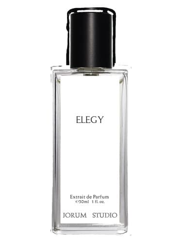 Elegy - مرثیه