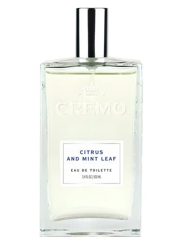 Citrus and Mint Leaf
