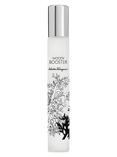 Woody Booster - تقویت کننده چوبی