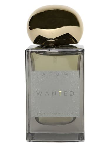 Wanted - تحت تعقیب