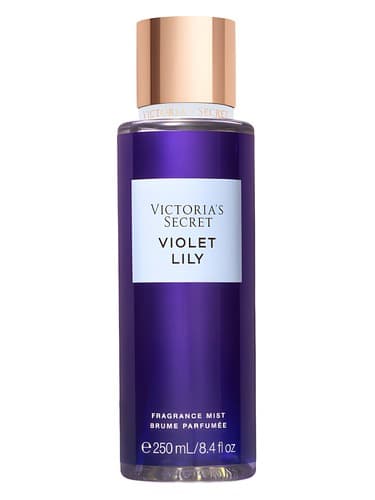 Violet Lily - بنفشه لیلی