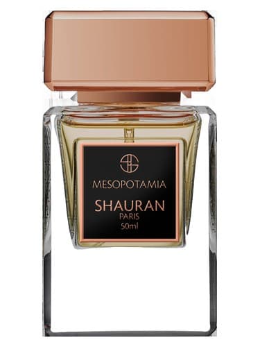 Mesopotamia - بین النهرین