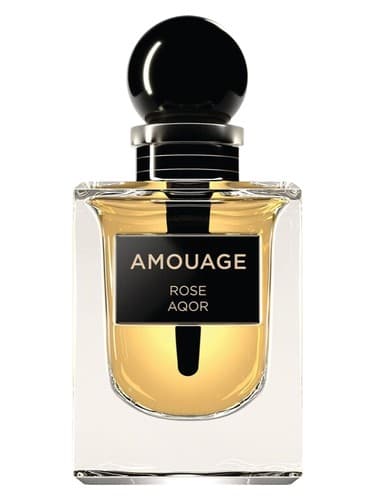 Rose Aqor - رز آقور