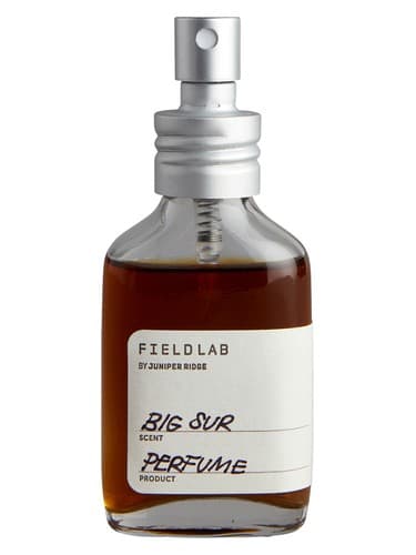 Big Sur Field Lab - آزمایشگاه میدان بزرگ سور