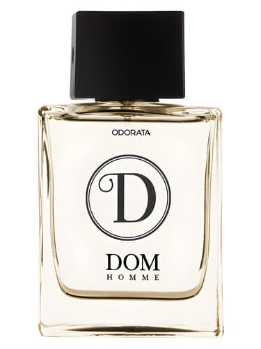 Dom Homme