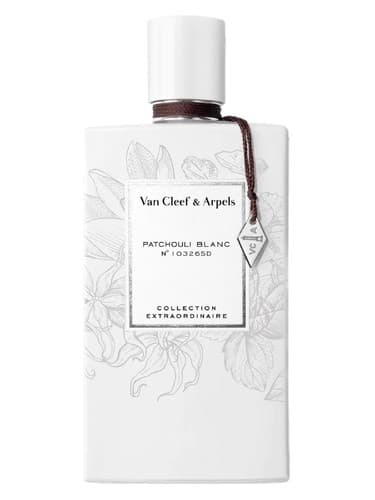 Patchouli Blanc - پاتچولی بلان