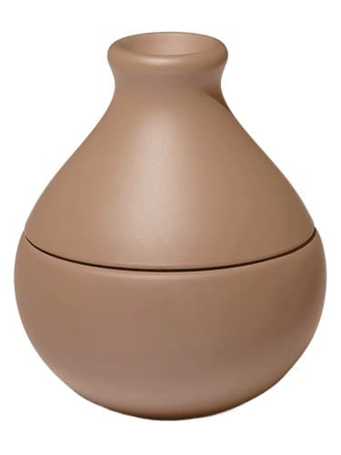Caramel Orchid - ارکیده کاراملی