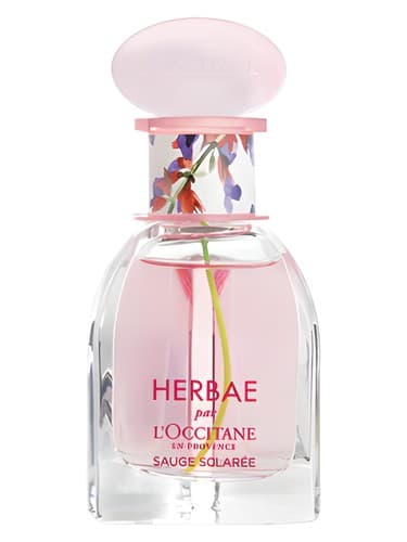 Herbae Clary Sage - هربا کلری سیج