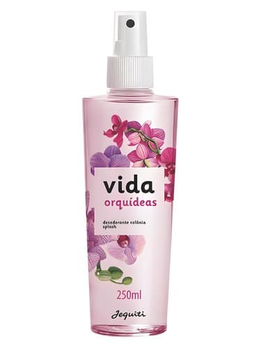 Vida Orquídeas - ویدا ارکویداس