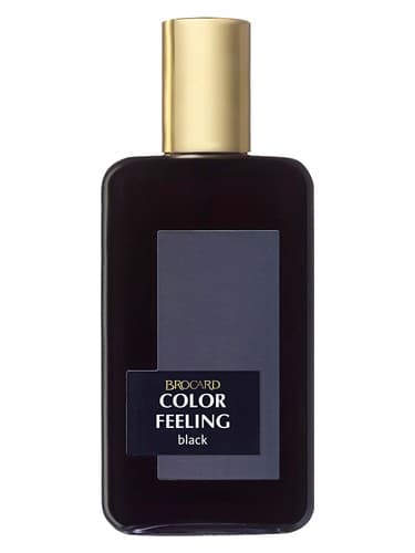 Color Feeling Black - احساس رنگ بلک