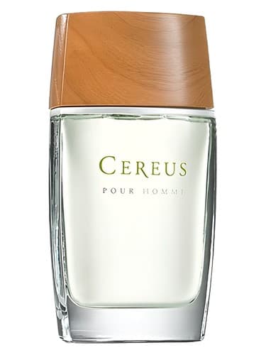 Cereus No. 6 - سرئوس شماره 6