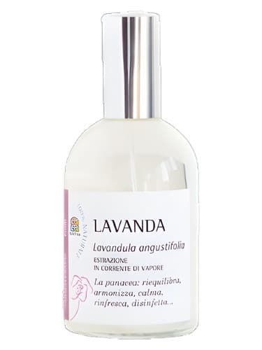 Lavanda - لاواندا