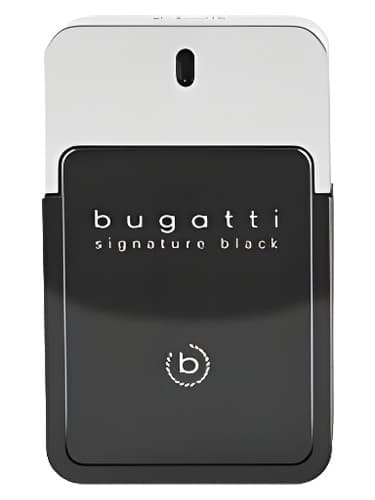Signature Black - بلک امضا