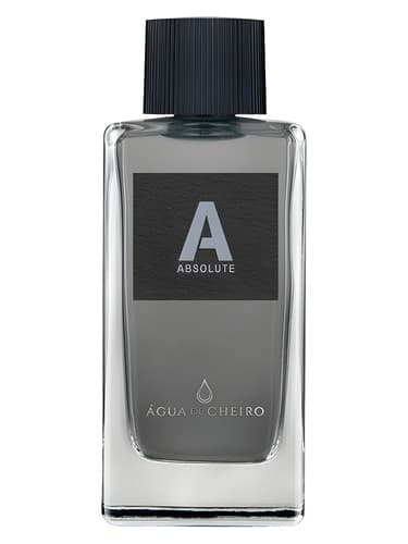 Absolute - مطلق