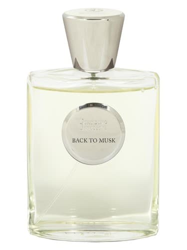 Back To Musk - بازگشت به ماسک