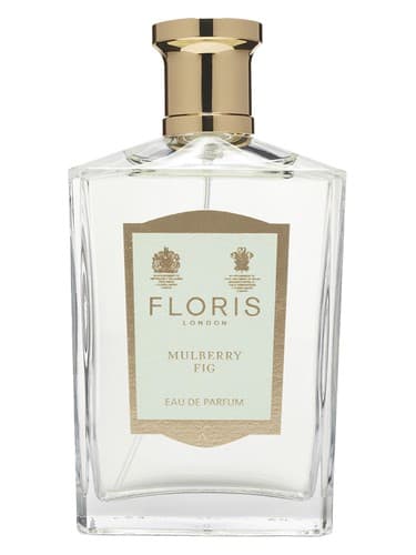 Mulberry Fig - توت انجیر
