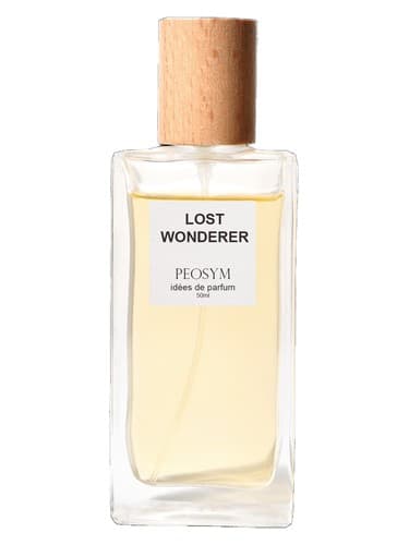 Lost Wonderer - شگفت انگیز گمشده