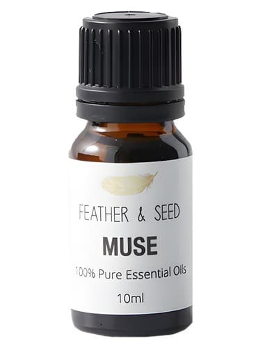 Muse