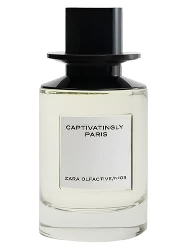 Captivatingly Paris - پاریس فریبنده