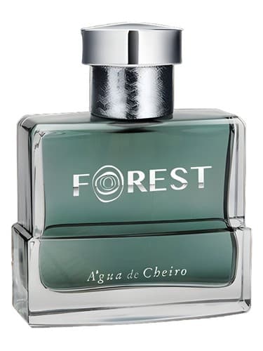 Forest - جنگل
