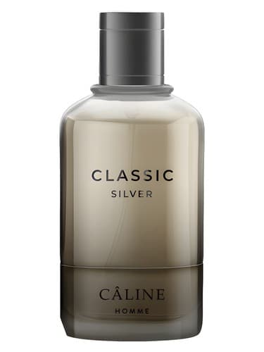 Classic Silver - سیلور کلاسیک
