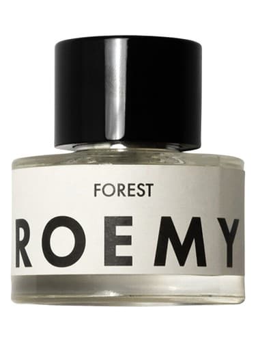 Forest - جنگل
