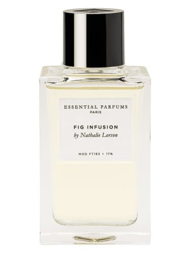 Fig Infusion - دم کرده انجیر