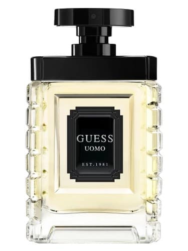 Guess Uomo - Uomo را حدس بزنید
