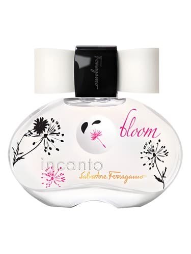 Incanto Bloom - اینکانتو بلوم