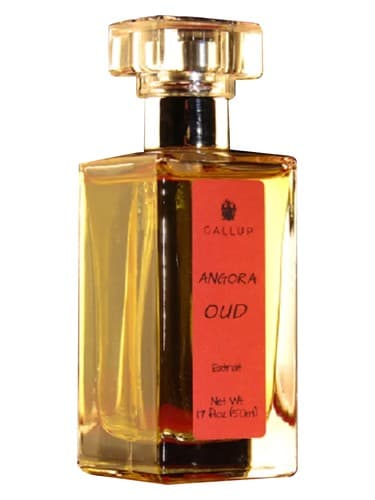 Angora Oud - آنگورا عود