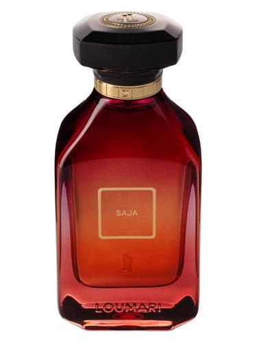 Saja - ساجا