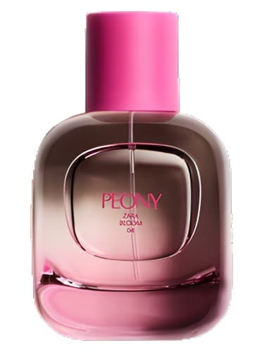 Peony 