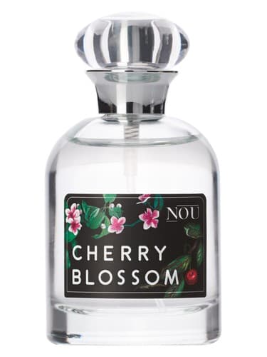 Cherry Blossom - شکوفه چری