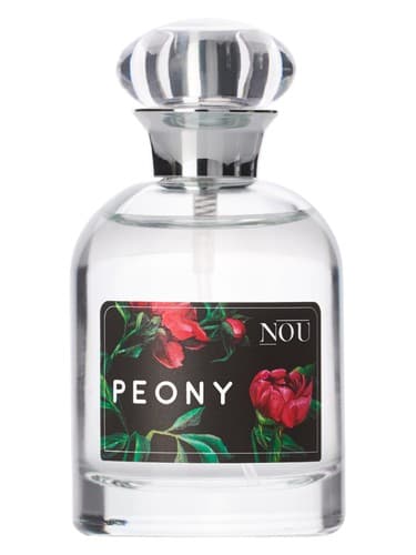 Peony - گل صد تومانی