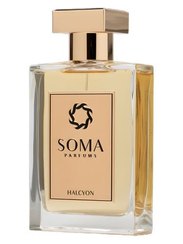Halcyon - هالسیون