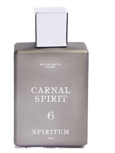 6 Carnal Spirit