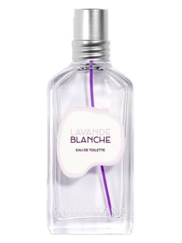 Lavande Blanche - لاوانده بلانچ