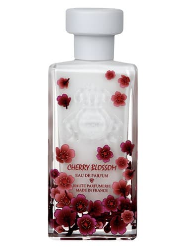 Cherry Blossom - شکوفه چری