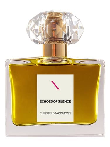 Echoes of Silence - پژواک های سکوت