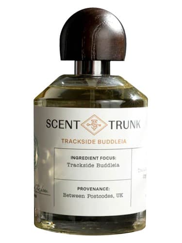 Trackside Buddleia - بودلیا کنار مسیر