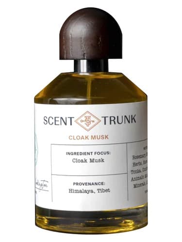 Cloak Musk