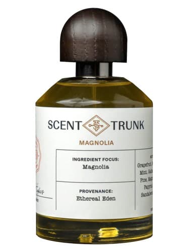 Magnolia